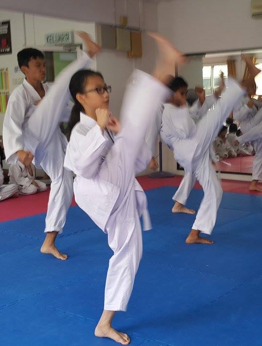 Malaysia Taekwondo MFA Class Training